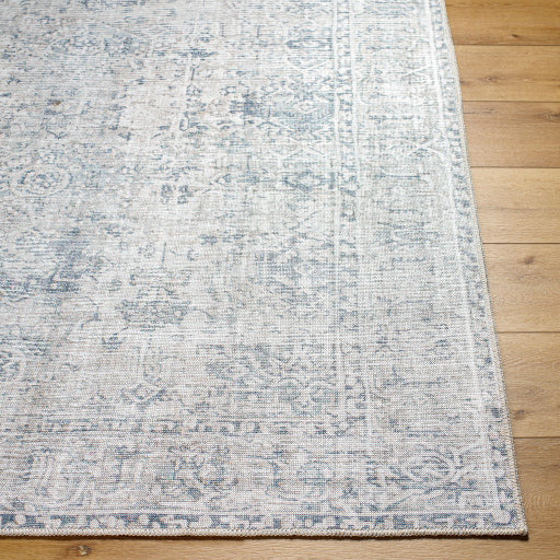 Embrace Elegant Machine Woven Accent Rug