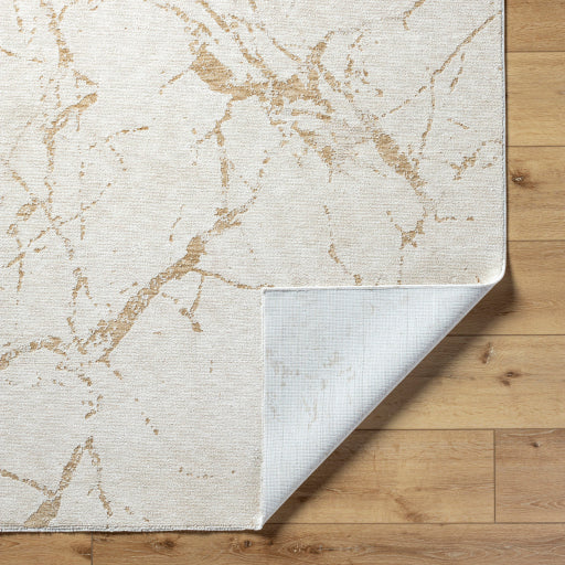 Emory Exquisite Elegance Machine Woven Rug