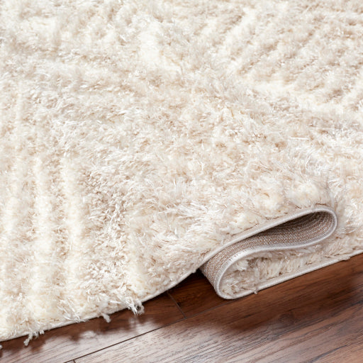 Everton Elegance EVP-2302 Machine Woven Rug