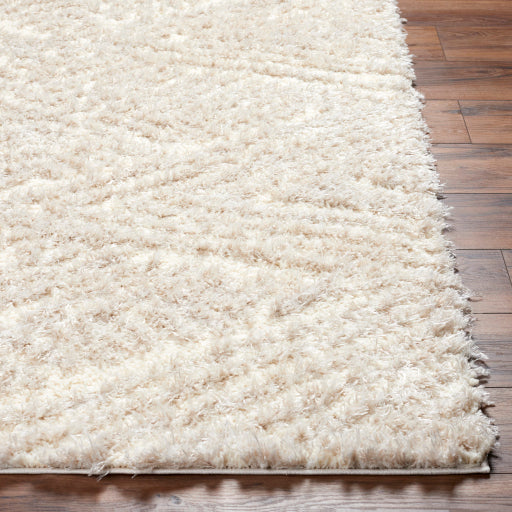 Everton Elegance EVP-2302 Machine Woven Rug