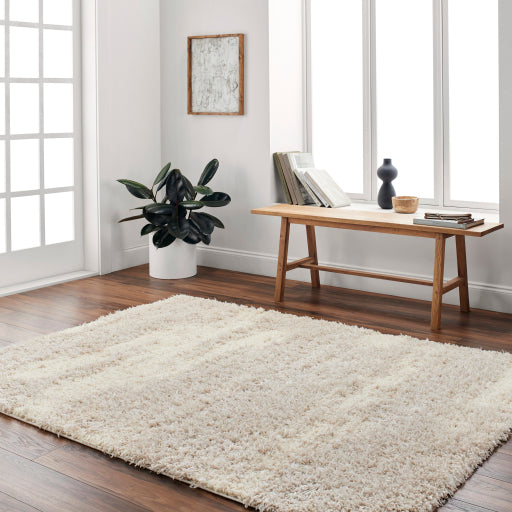 Everton Elegance EVP-2302 Machine Woven Rug