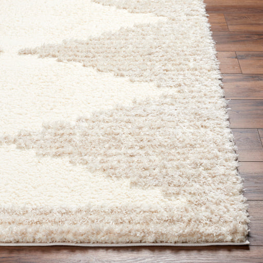 Everton Elegance EVP-2308 Machine Woven Rug