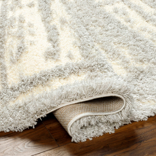 Everton Elegance EVP-2316 Machine Woven Rug