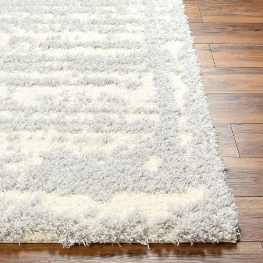 Everton Elegance EVP-2316 Machine Woven Rug
