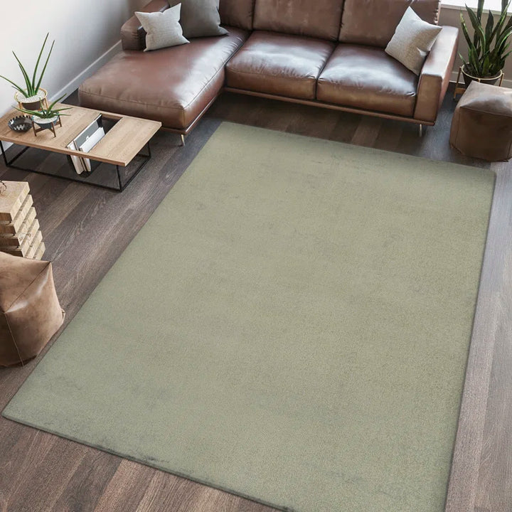 Waylynn Washable Indoor Rug