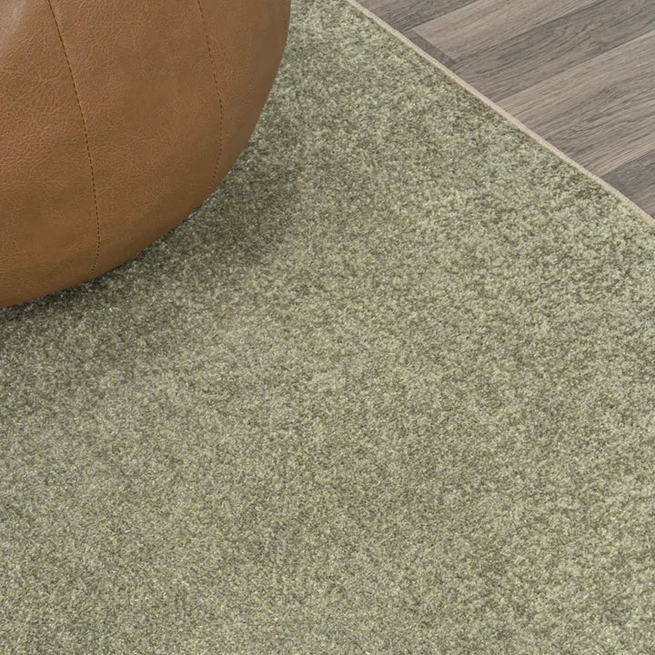 Waylynn Washable Indoor Rug
