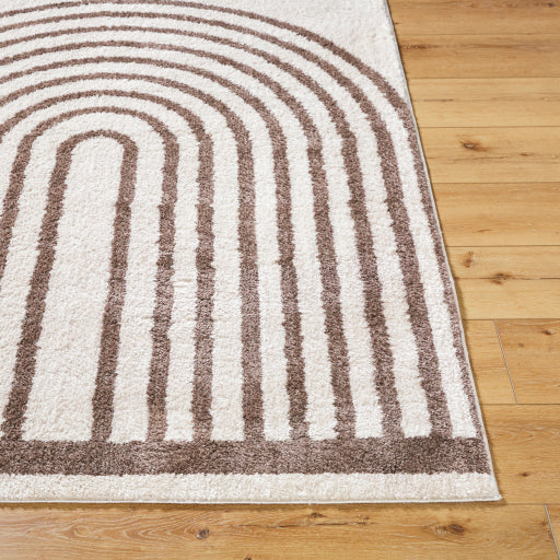 Fossay Shag Flair Weave Rug