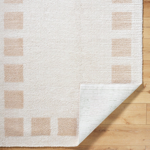 Fossay Shag Flowing Weave Area Rug