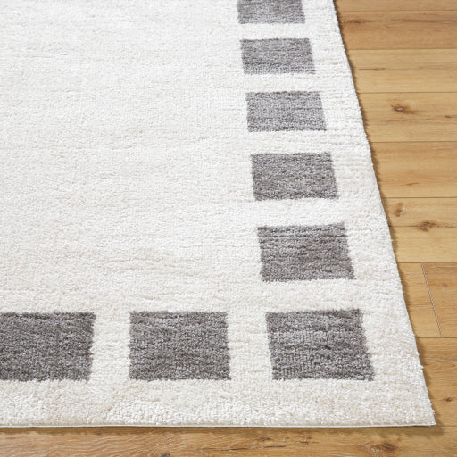 Fossay Shag Fashion Floor Mat