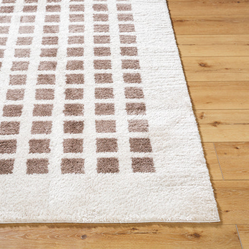 Fossay Swirls FSG Sublime Weave Rug