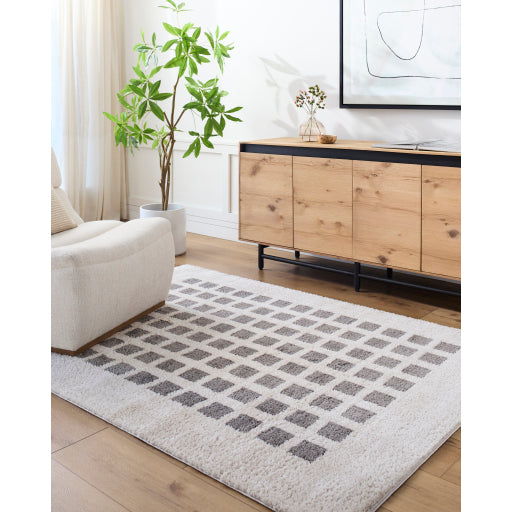 Fossay Shimmer Square Weave Rug