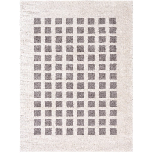 Fossay Shimmer Square Weave Rug