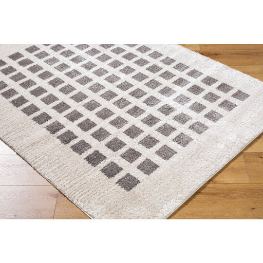 Fossay Shimmer Square Weave Rug