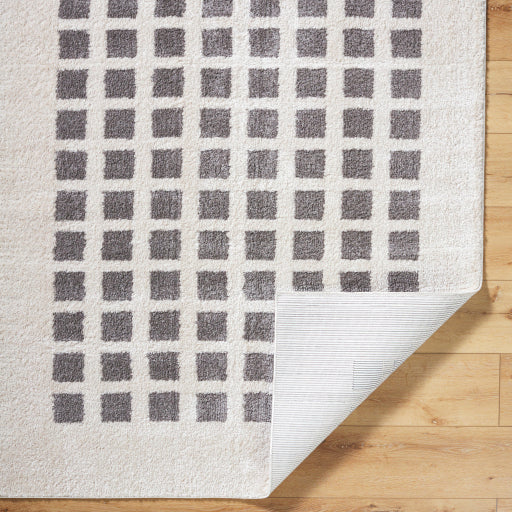 Fossay Shimmer Square Weave Rug