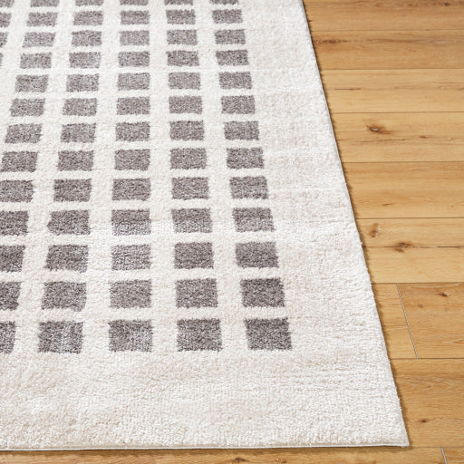 Fossay Shimmer Square Weave Rug