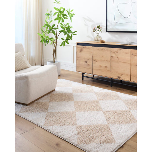 Fossay Shimmer Square Machine Woven Rug