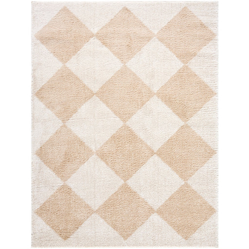 Fossay Shimmer Square Machine Woven Rug