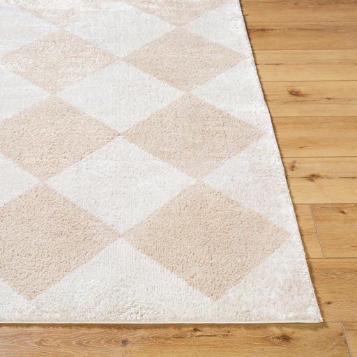 Fossay Shimmer Square Machine Woven Rug