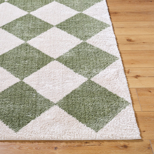 Fossay Shimmer FSG Weave Rug