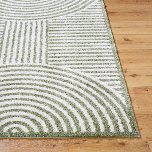 Fossay Shag Fabric Floor Cover