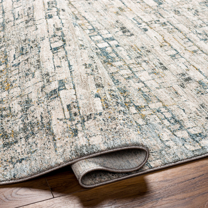 Denice Area Rug