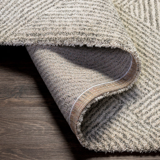 Gavic Geometric Woven Accent Rug
