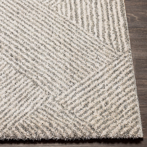 Gavic Geometric Woven Accent Rug