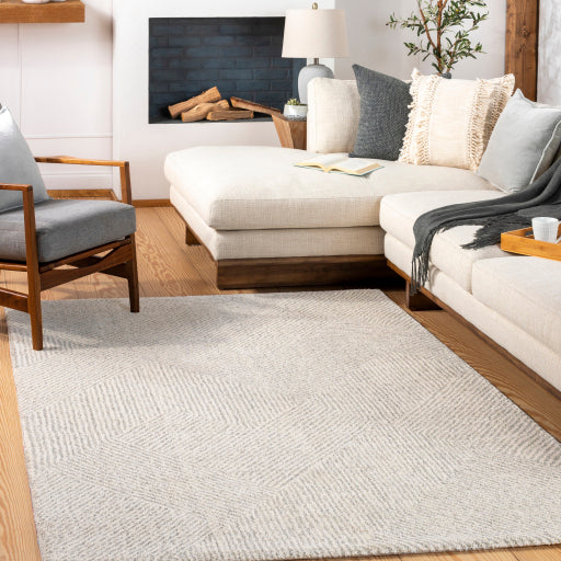 Gavic Geometric Woven Accent Rug
