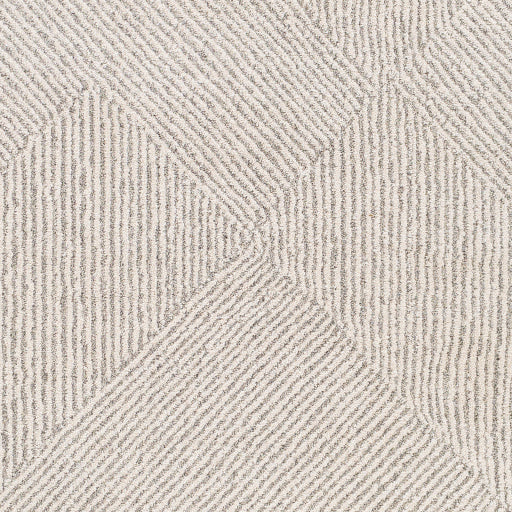 Gavic Geometric Woven Accent Rug