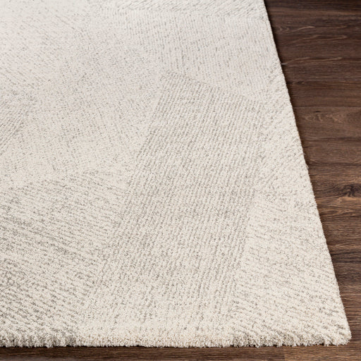 Gavic Geometric Machine Woven Rug