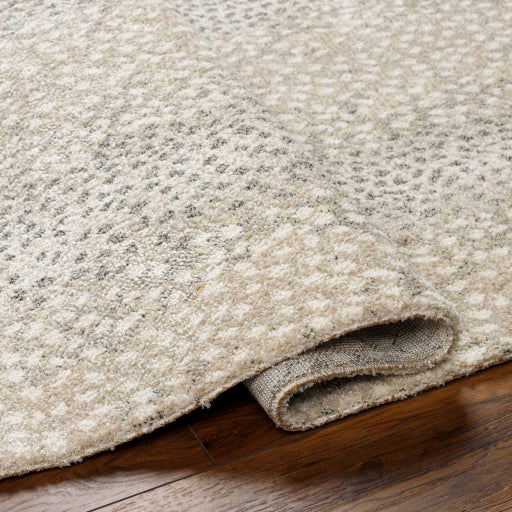 Gavic Geometric Machine Woven Rug