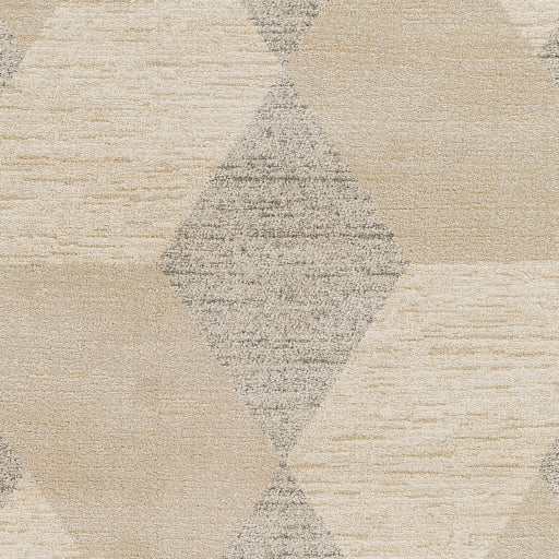 Gavic Geometric Weave Accent Rug