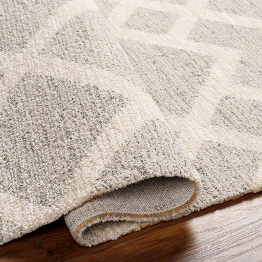 Gavic Geometric Woven Rug