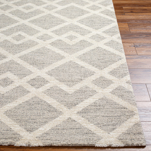 Gavic Geometric Woven Rug
