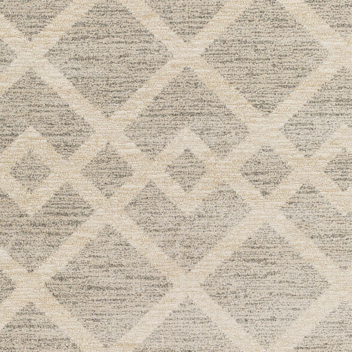 Gavic Geometric Woven Rug