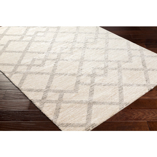 Gavic Geometric Woven Accent Rug