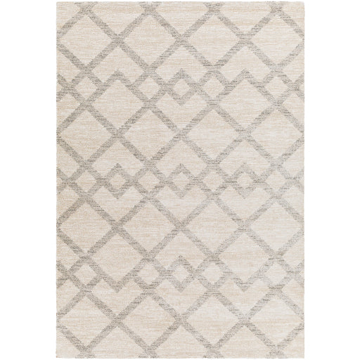Gavic Geometric Woven Accent Rug