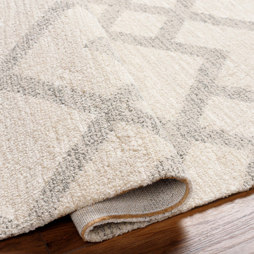Gavic Geometric Woven Accent Rug