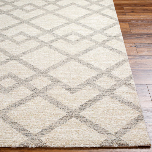 Gavic Geometric Woven Accent Rug