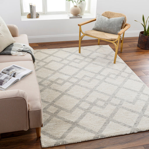 Gavic Geometric Woven Accent Rug