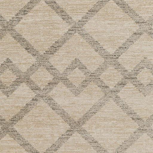 Gavic Geometric Woven Accent Rug
