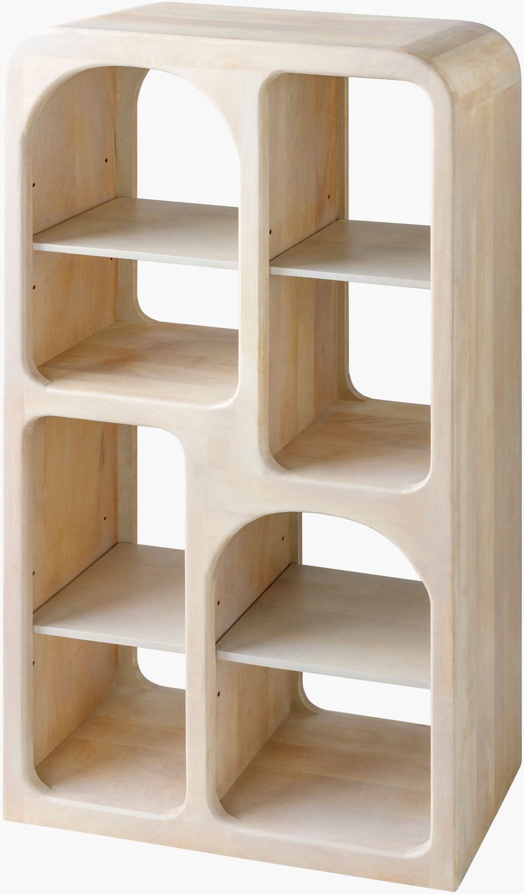 Tani Bookcase