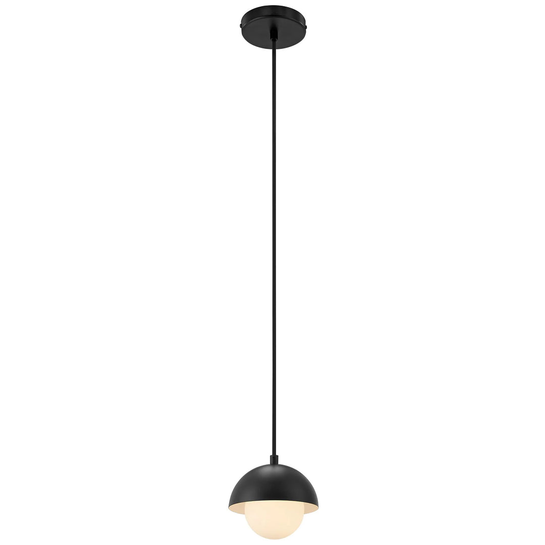 Echoe Globe Pendant Light - Black