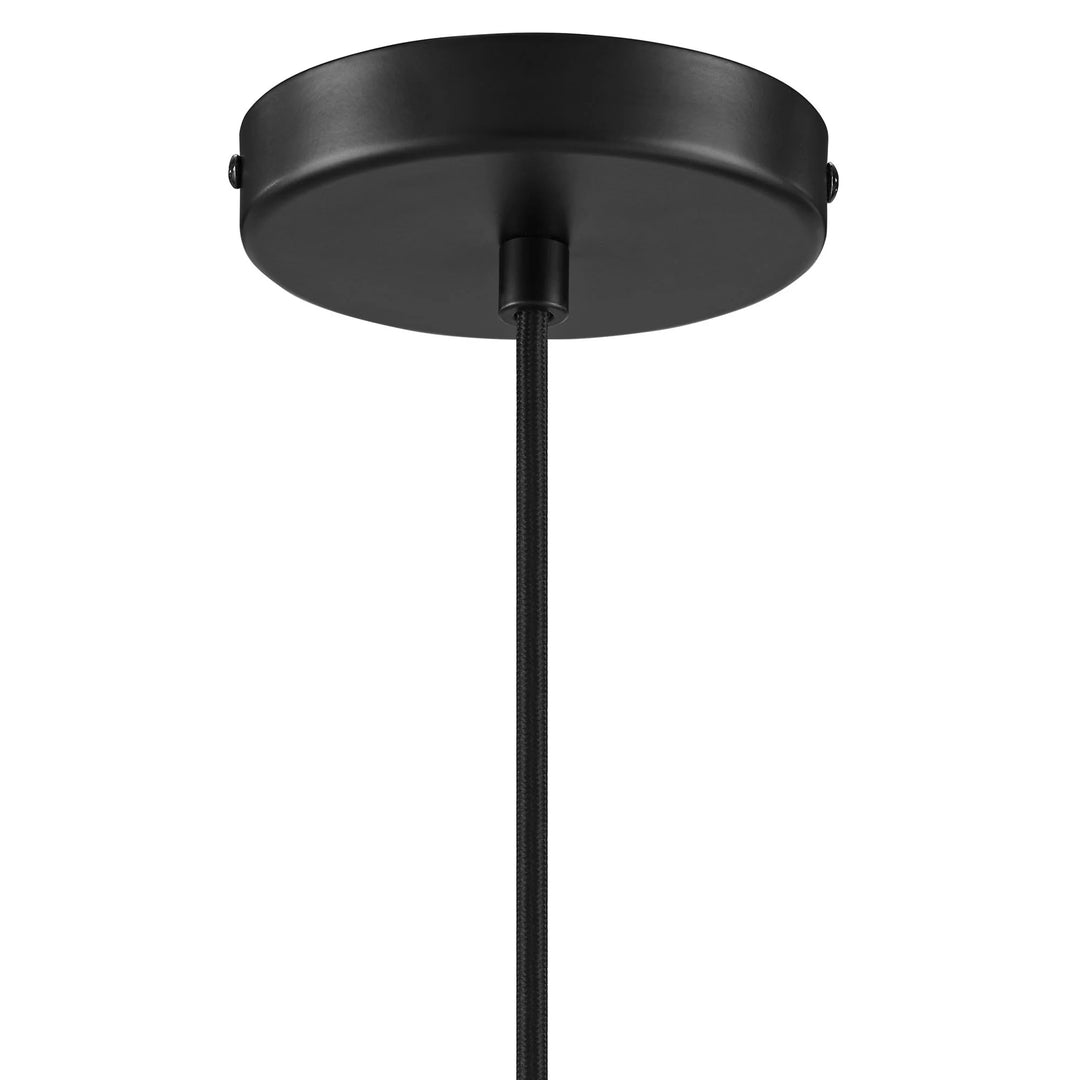 Echoe Globe Pendant Light - Black