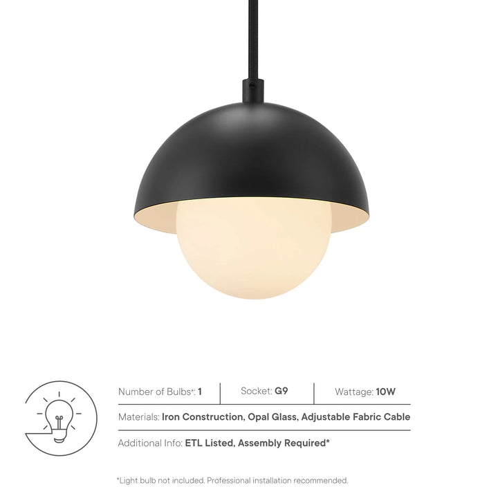 Echoe Globe Pendant Light - Black