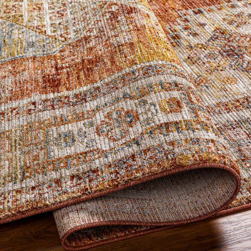 Nadia Intricate Area Rug