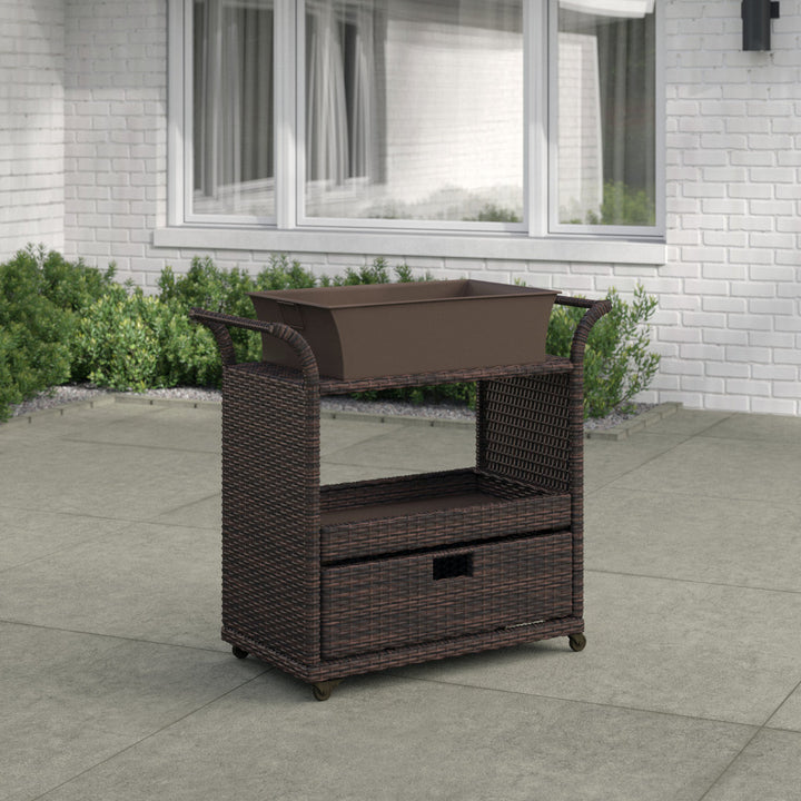 Zytavious Bar Cart with Iron and Wicker Red Barrel Studio®