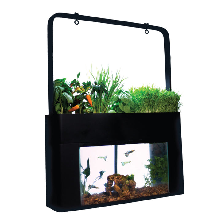AquaSprouts Garden AquaSprouts
