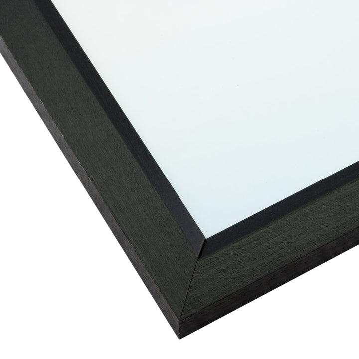 Single Picture Frame Alcott Hill® Color: Black Photo Size: 17" x 24"