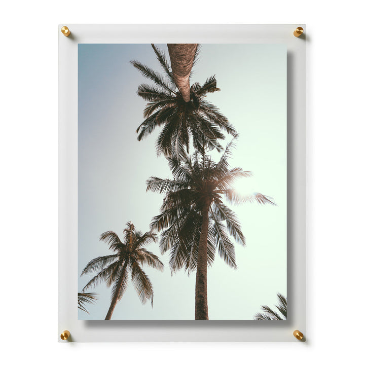 Clear UV-Grade Acrylic Modern Floating Picture Frame - Gold Wexel Art Photo Size: 18" H x 24" W